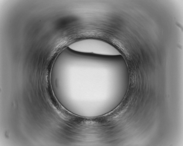 X0000094450590200711081049