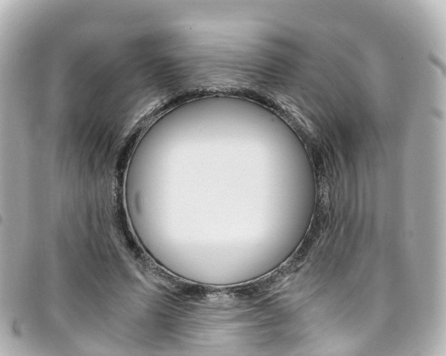 X0000094450591200711081049