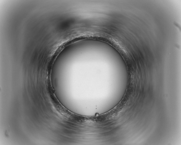 X0000094450592200711081049