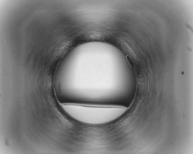 X0000094450593200711081049