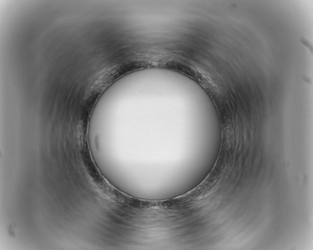 X0000094450594200711081049
