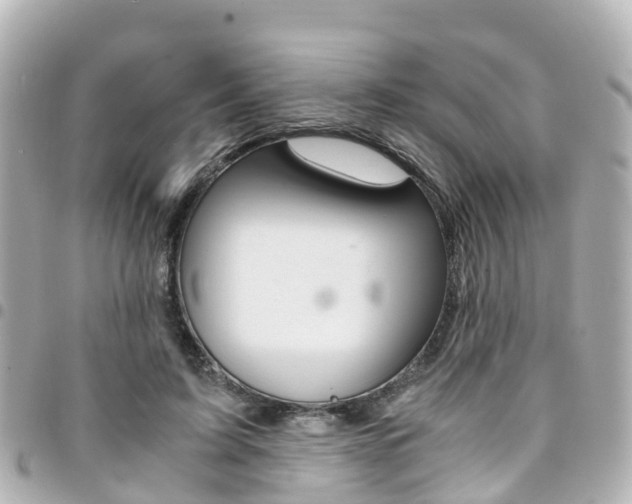 X0000094450595200711081049