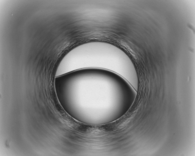 X0000094450597200711081049
