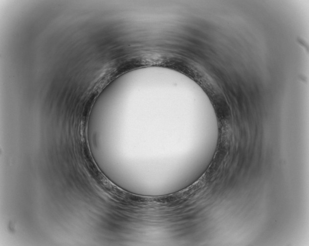 X0000094450598200711081049