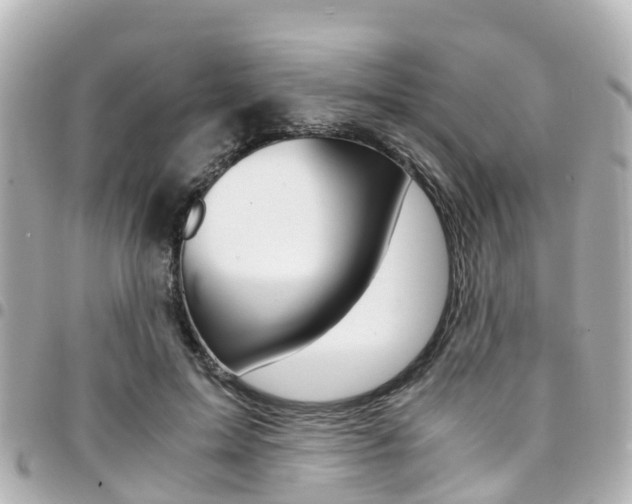 X0000094450599200711081049