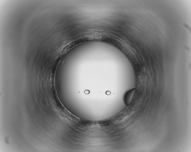X0000094450600200711081049