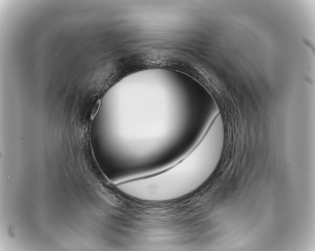 X0000094450601200711081049