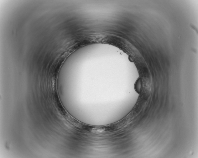 X0000094450602200711081049