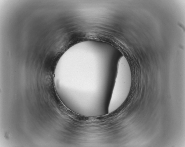 X0000094450603200711081049