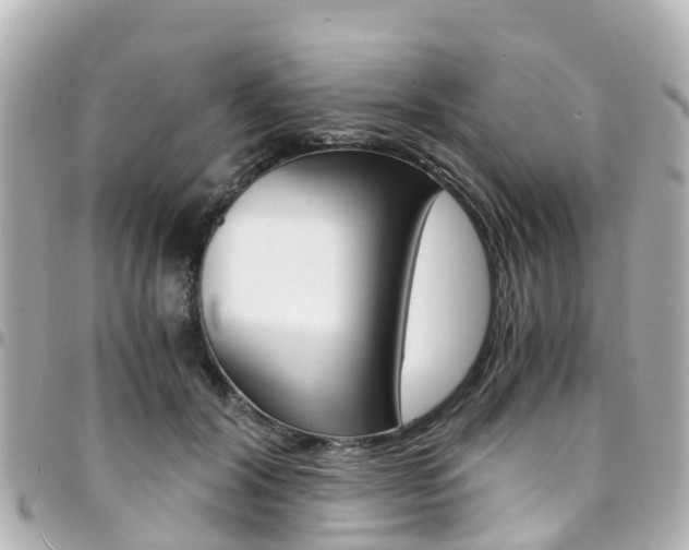 X0000094450604200711081049
