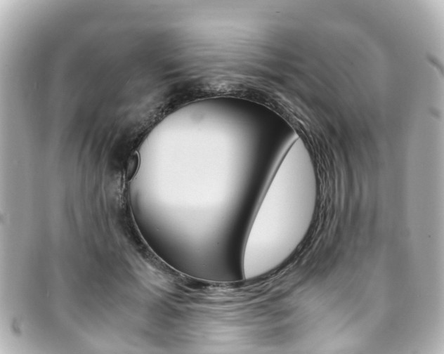 X0000094450605200711081049