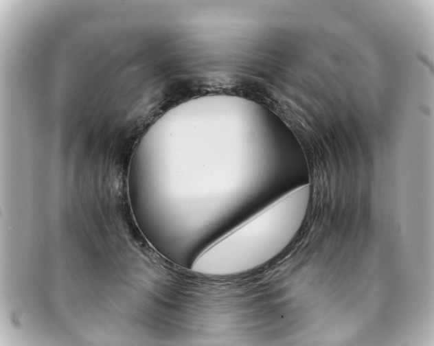 X0000094450608200711081049