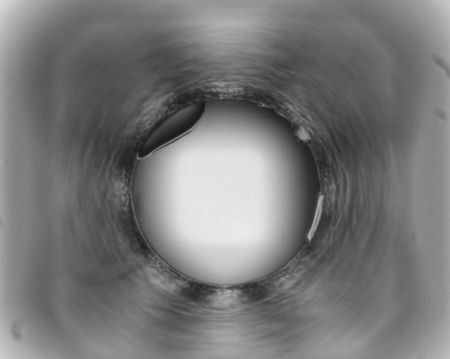 X0000094450609200711081049