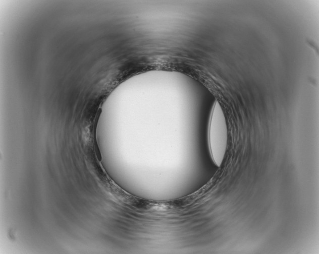 X0000094450611200711081049