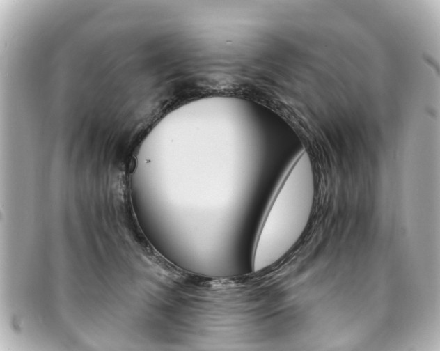 X0000094450612200711081049