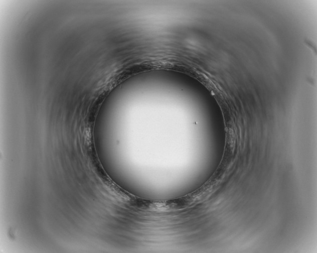 X0000094450613200711081049