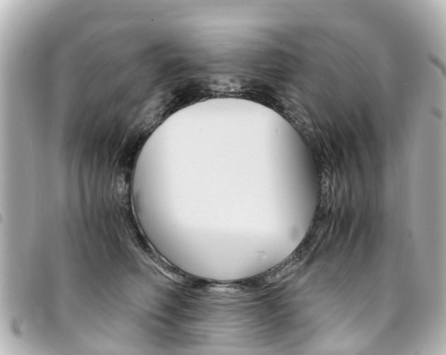 X0000094450614200711081049