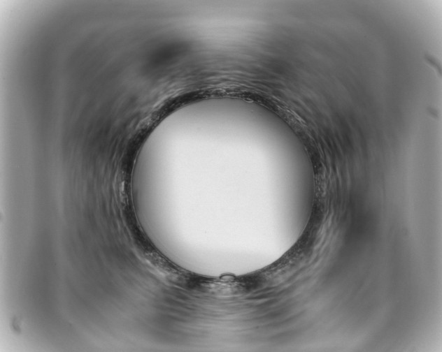 X0000094450615200711081049