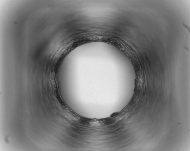 X0000094450616200711081049