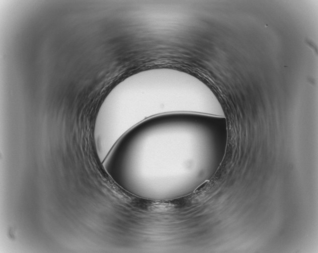 X0000094450617200711081049
