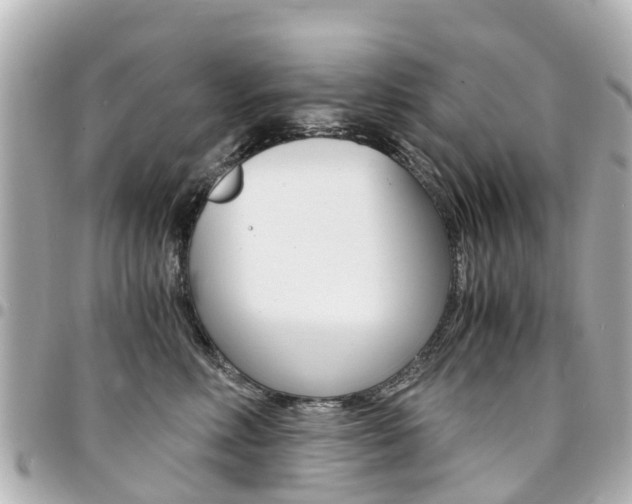 X0000094450618200711081049