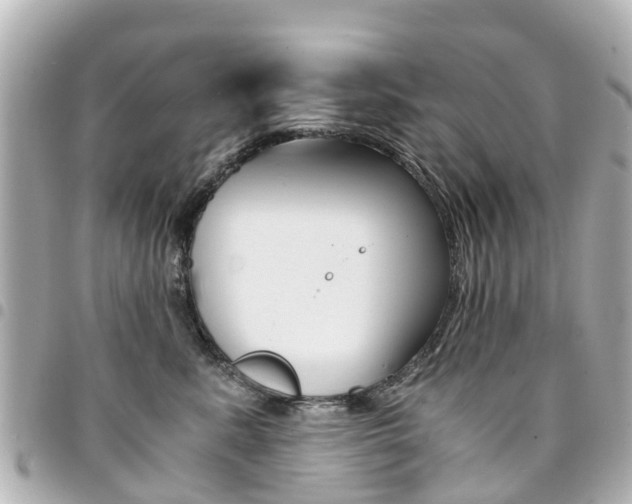 X0000094450619200711081049