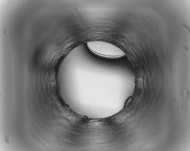 X0000094450620200711081049
