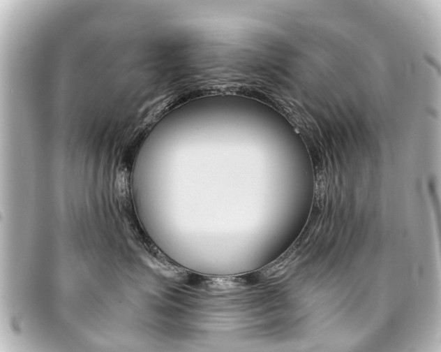 X0000094450623200711081049