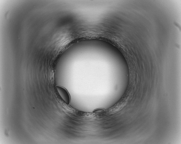 X0000094450624200711081049