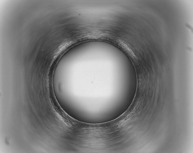 X0000094450626200711081048