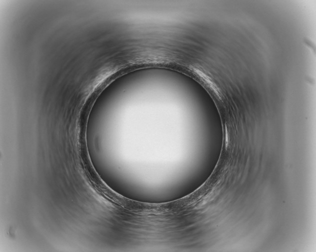 X0000094450627200711081048