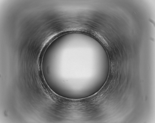 X0000094450628200711081048