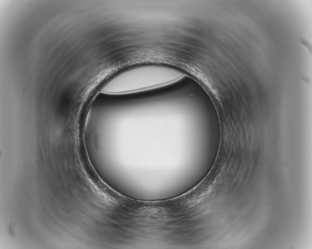 X0000094450629200711081048