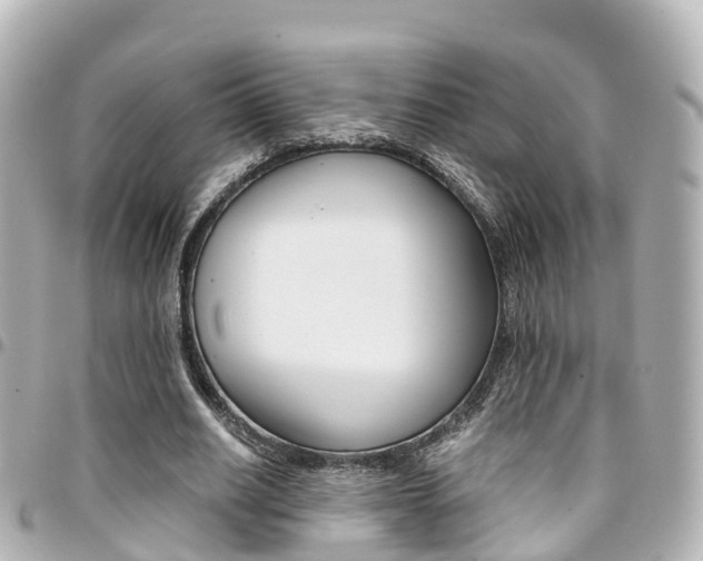 X0000094450630200711081048