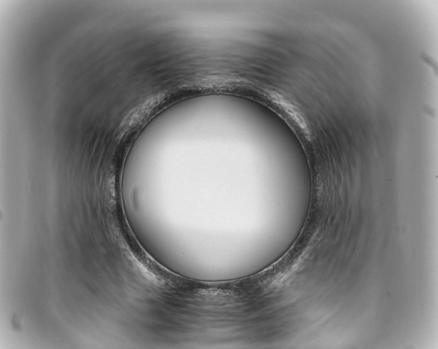 X0000094450633200711081048