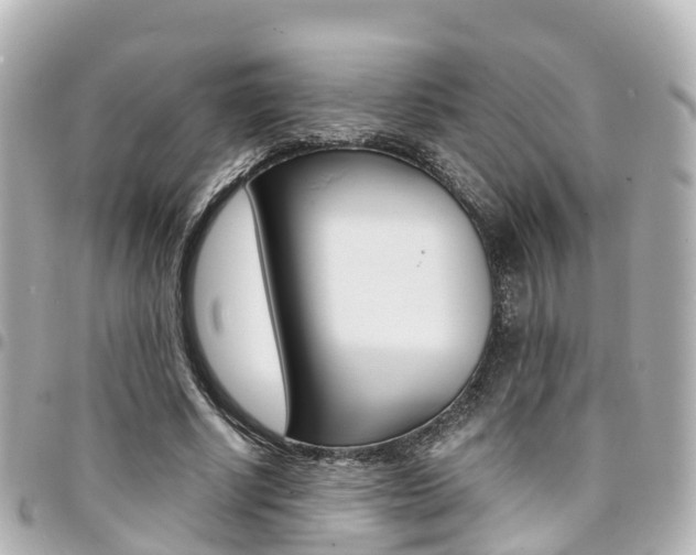 X0000094450634200711081048