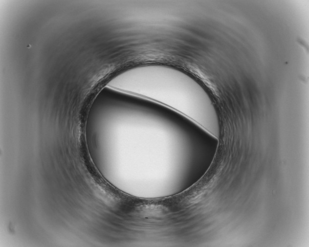 X0000094450637200711081048