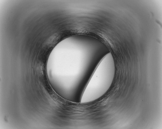 X0000094450643200711081048