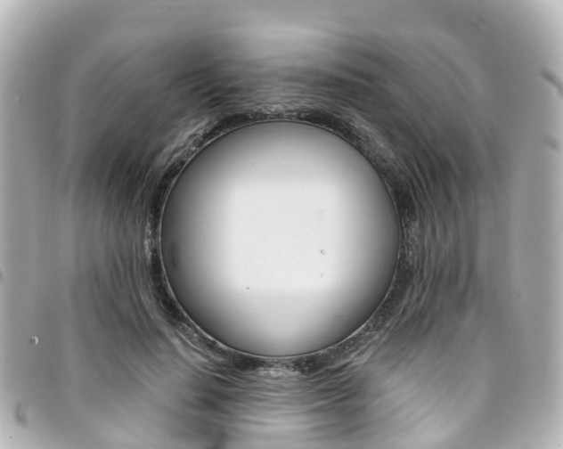 X0000094450644200711081048