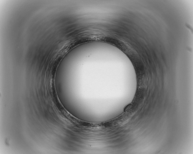 X0000094450646200711081048