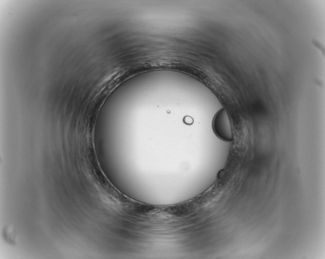 X0000094450648200711081048