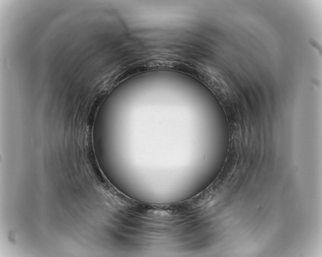 X0000094450649200711081048