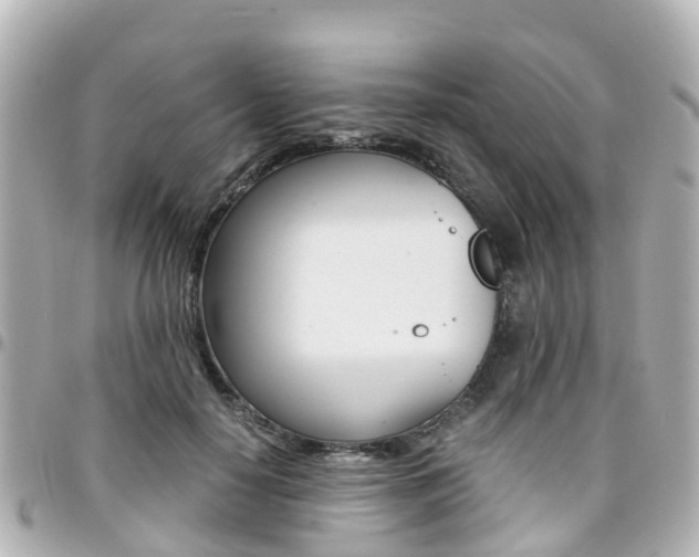 X0000094450650200711081049