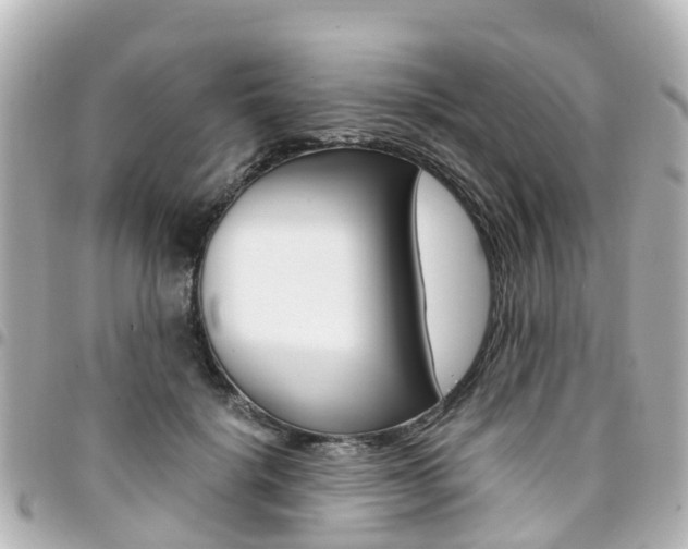 X0000094450652200711081049