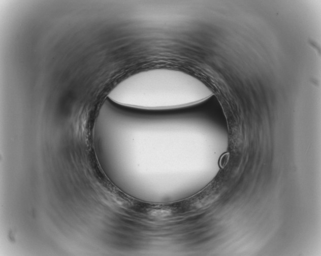 X0000094450653200711081049