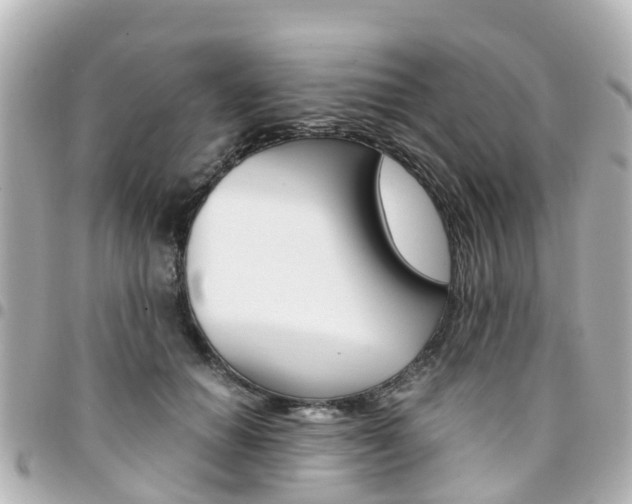 X0000094450654200711081049