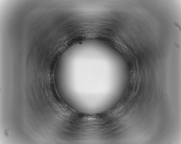 X0000094450655200711081049