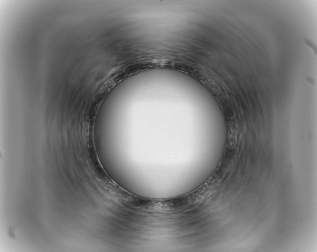 X0000094450656200711081049