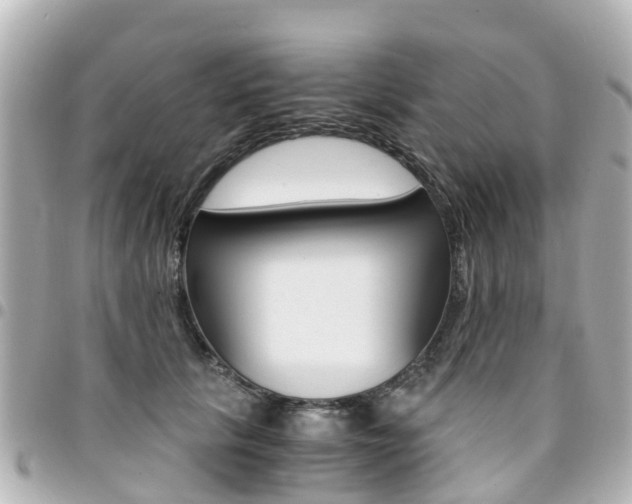 X0000094450657200711081049