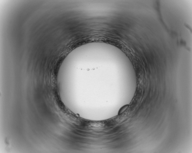 X0000094450659200711081049